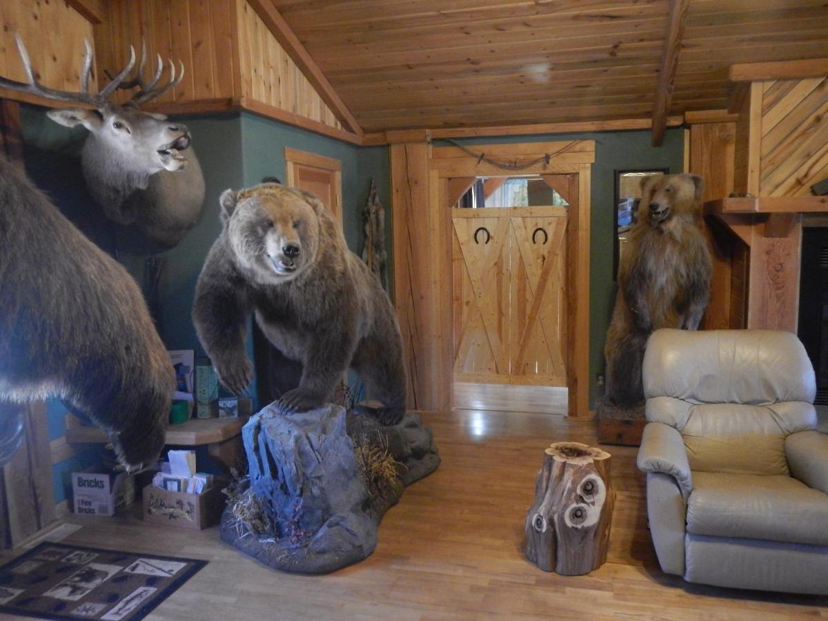 | 4 Bears Bed and Breakfast