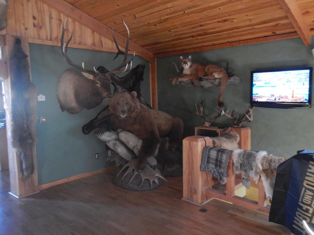 | 4 Bears Bed and Breakfast