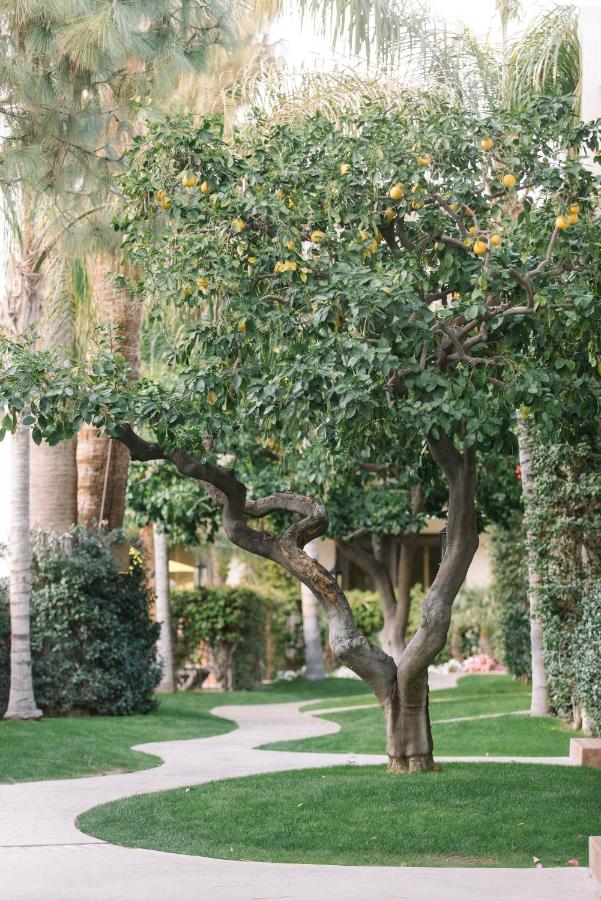 | Palm Mountain Resort & Spa
