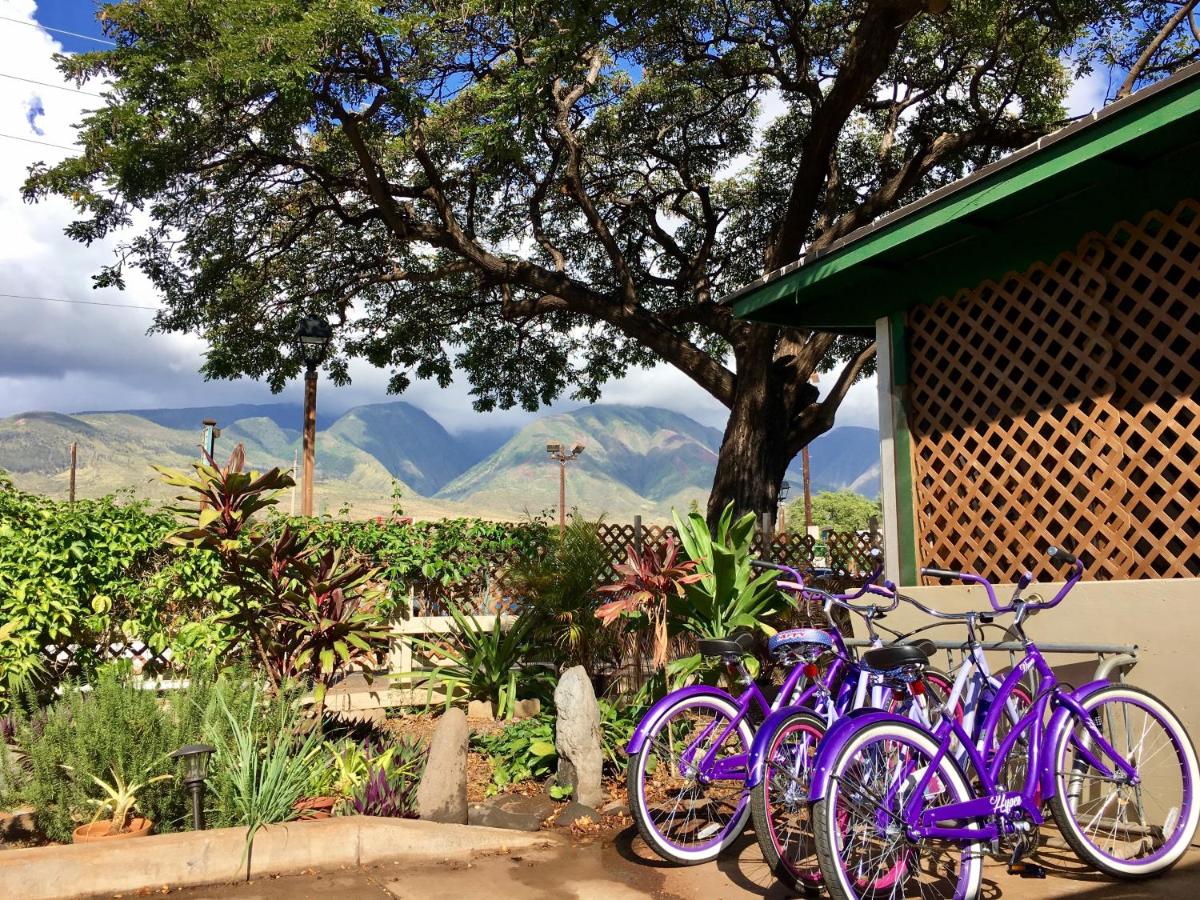  | Hakuna Matata Maui Hostel