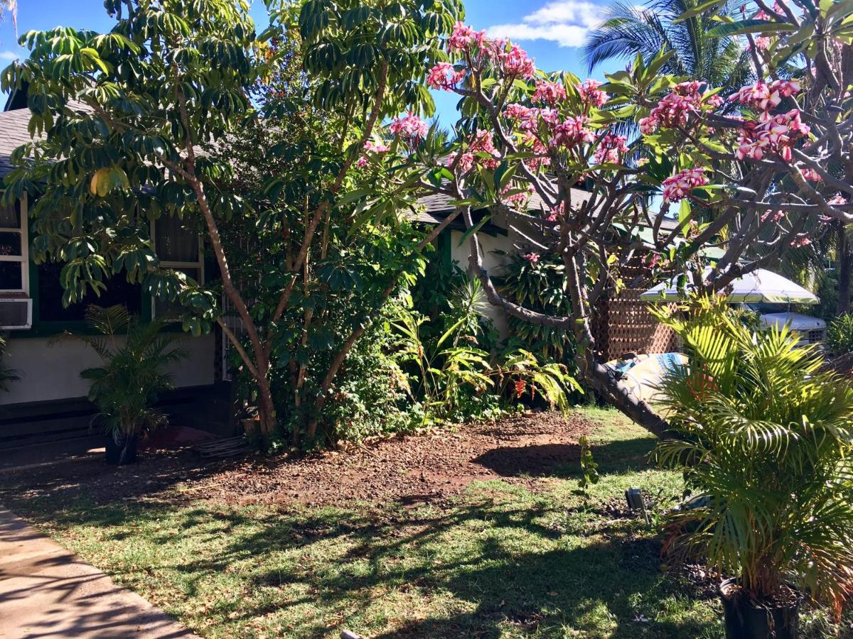  | Hakuna Matata Maui Hostel