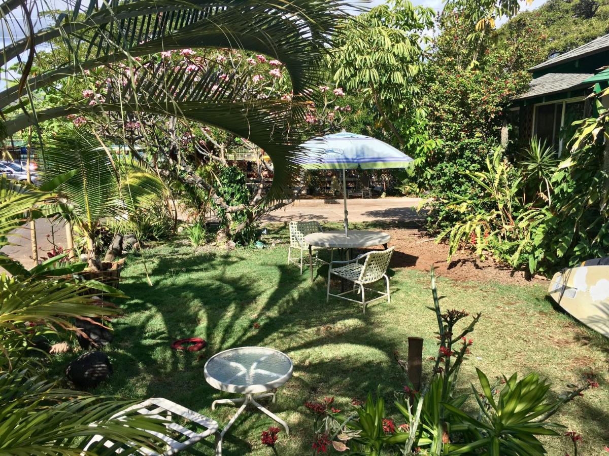  | Hakuna Matata Maui Hostel