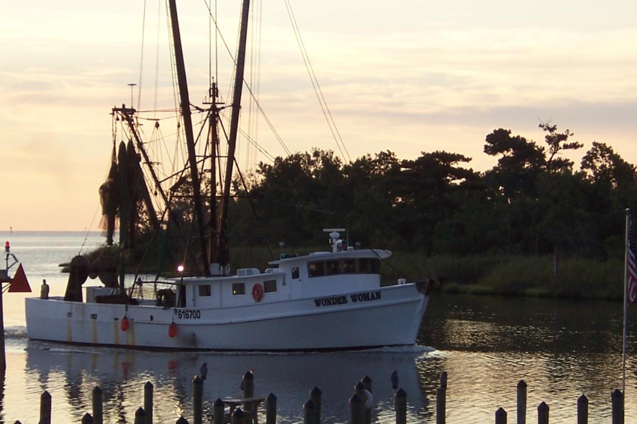 | Hyde County Lodges