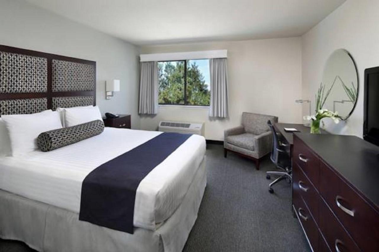 King Room at Maple Tree Inn