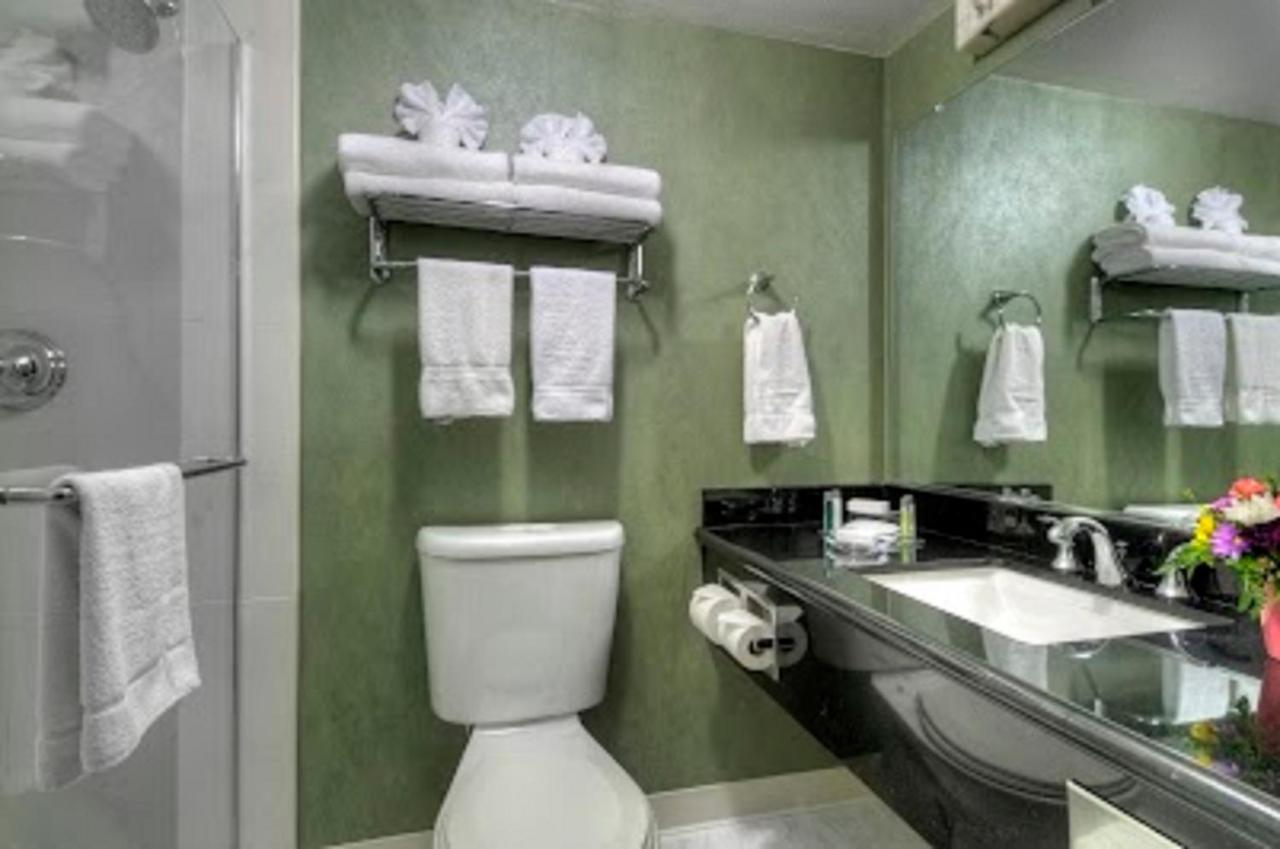 King Room at Maple Tree Inn