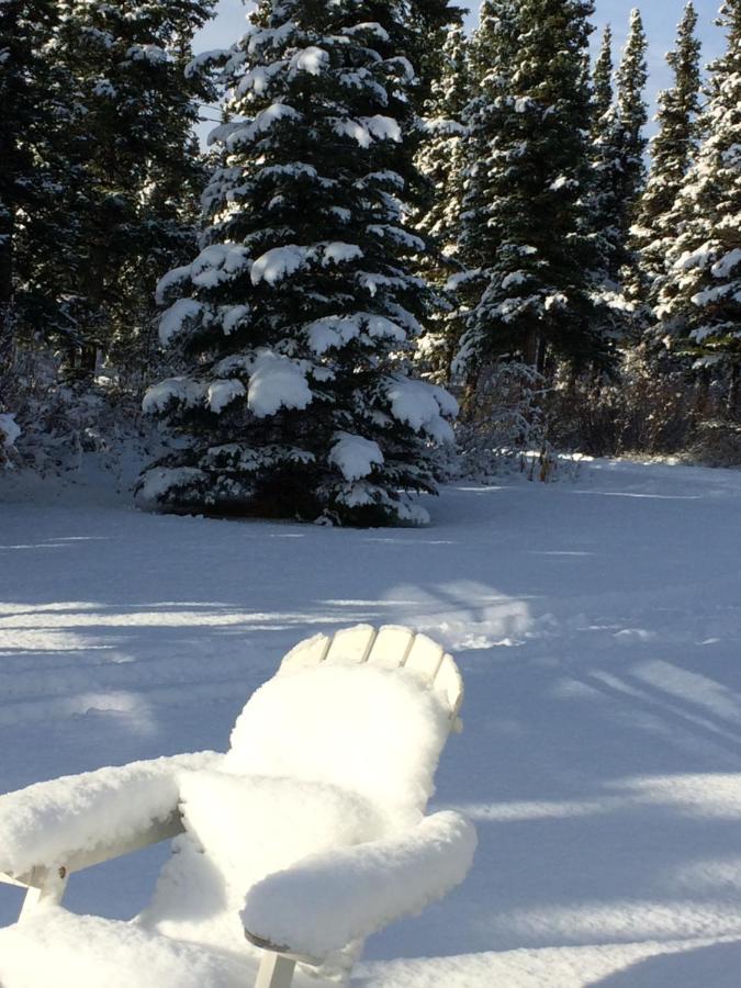  | Denali Primrose B&B