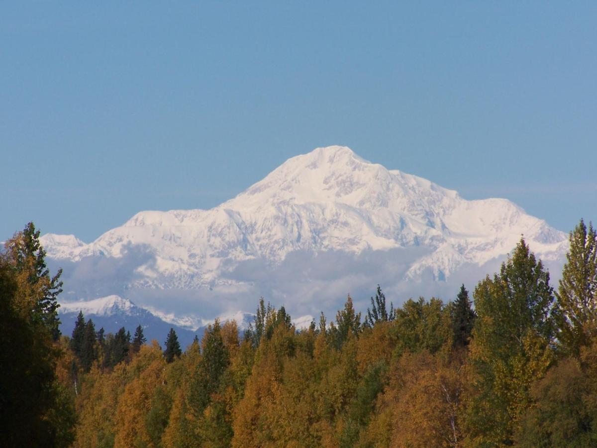 | Denali Primrose B&B