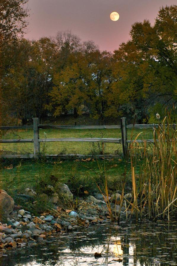 | Willow Pond Bed and Breakfast