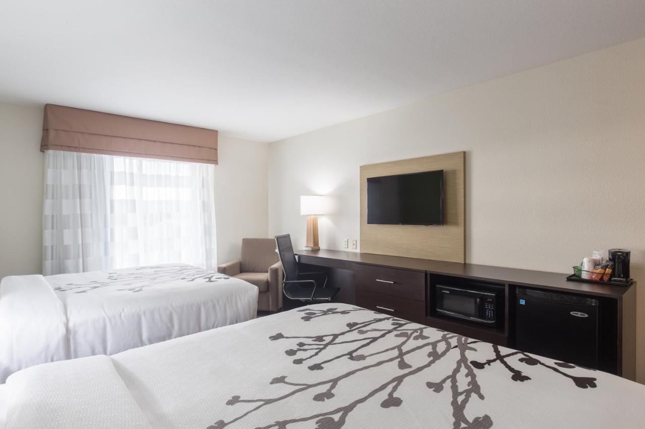 Standard Queen Room with Two Queen Beds - Non-Smoking at Sleep Inn & Suites
