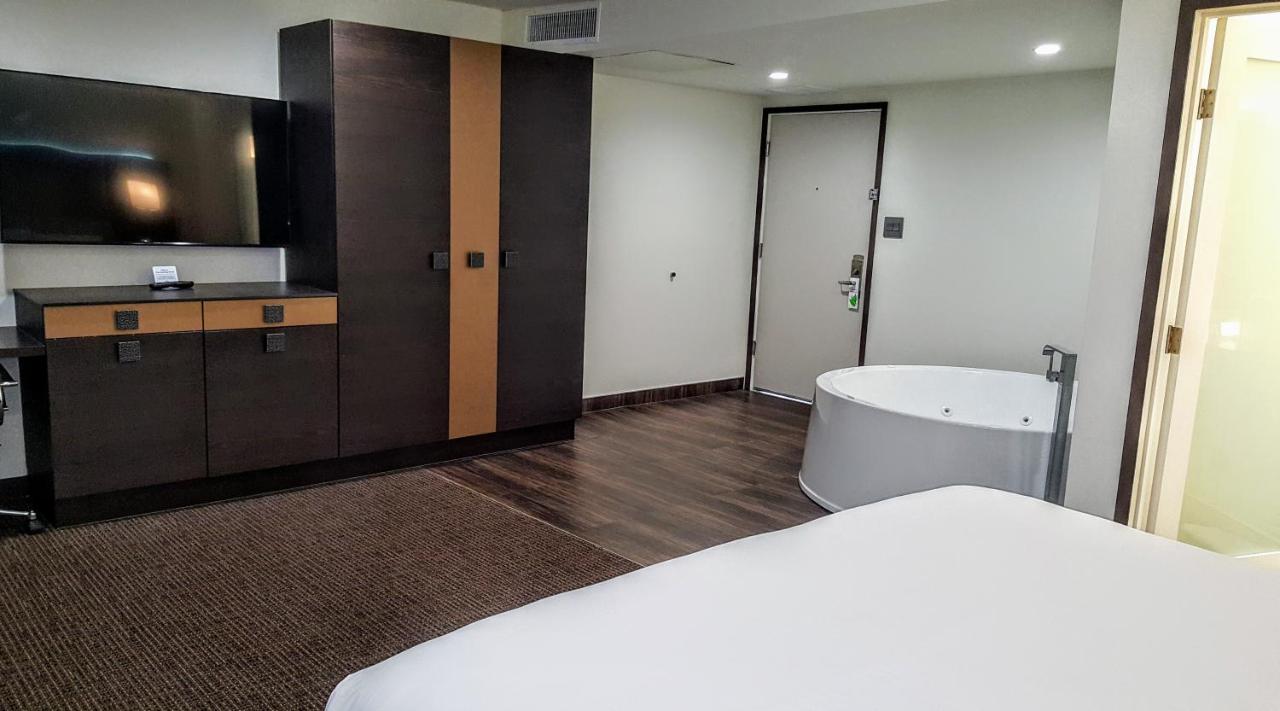 Suite with Pool View at Hotel Xilo Glendale