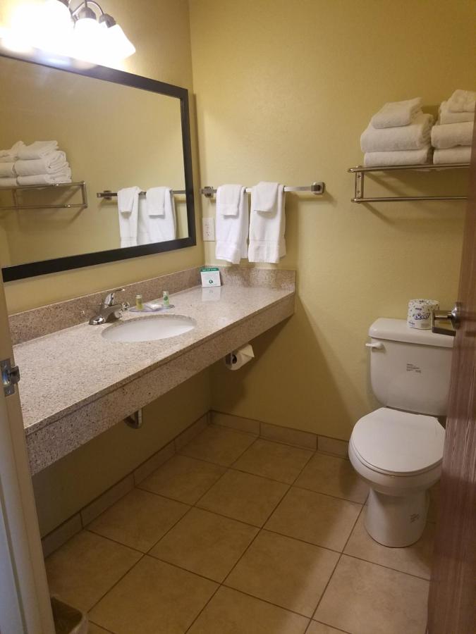 King Room at Cobblestone Inn & Suites - Bottineau