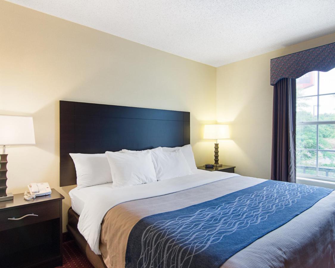 Room #45914012 at Quality Inn & Suites Little Rock West