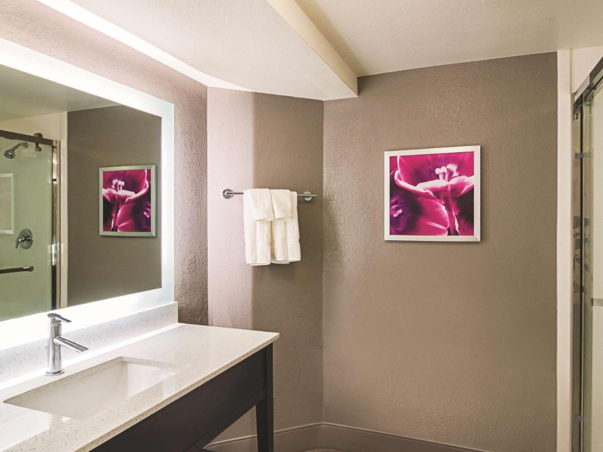 King Suite with Sofa Bed at La Quinta Inn & Suites by Wyndham Denver Tech Center