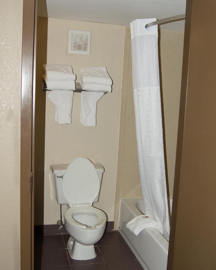 Queen Room with Two Queen Beds - Non-Smoking at Comfort Inn & Suites Raphine - Lexington near I-81 and I-64