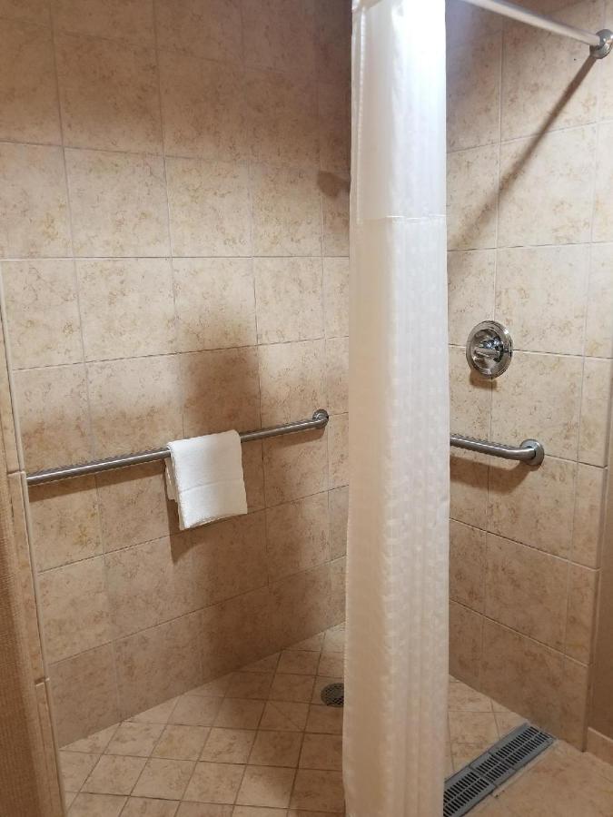 King Suite - Disability Access/Non-Smoking at Comfort Suites Palestine