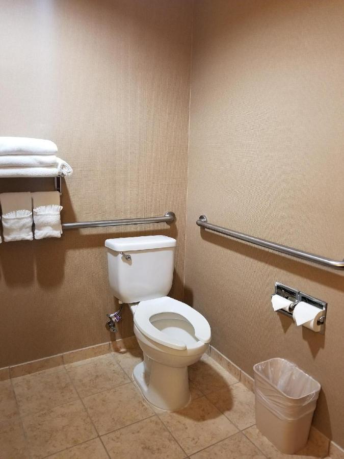 King Suite - Disability Access/Non-Smoking at Comfort Suites Palestine