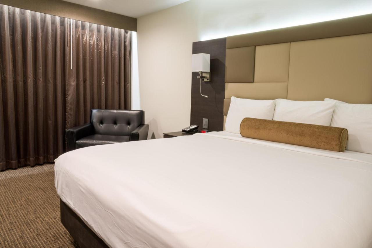 Deluxe King Room at Hotel Xilo Glendale