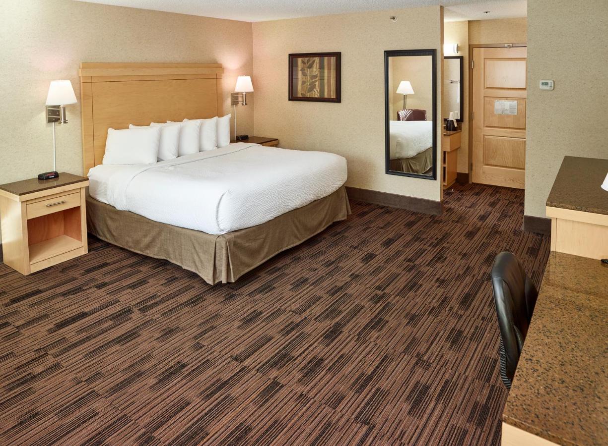 King Room - Non-Smoking at LivINN Hotel Minneapolis North / Fridley