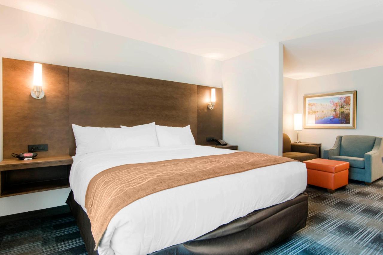 King Suite with Sofa Bed - Disability Access/Non-Smoking at Comfort Inn & Suites East Ellijay