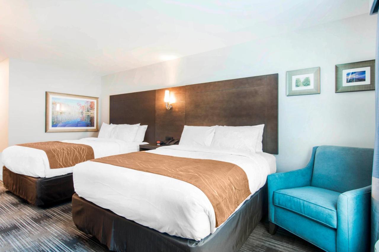 Queen Room with Two Queen Beds - Accessible/Non-Smoking at Comfort Inn & Suites East Ellijay