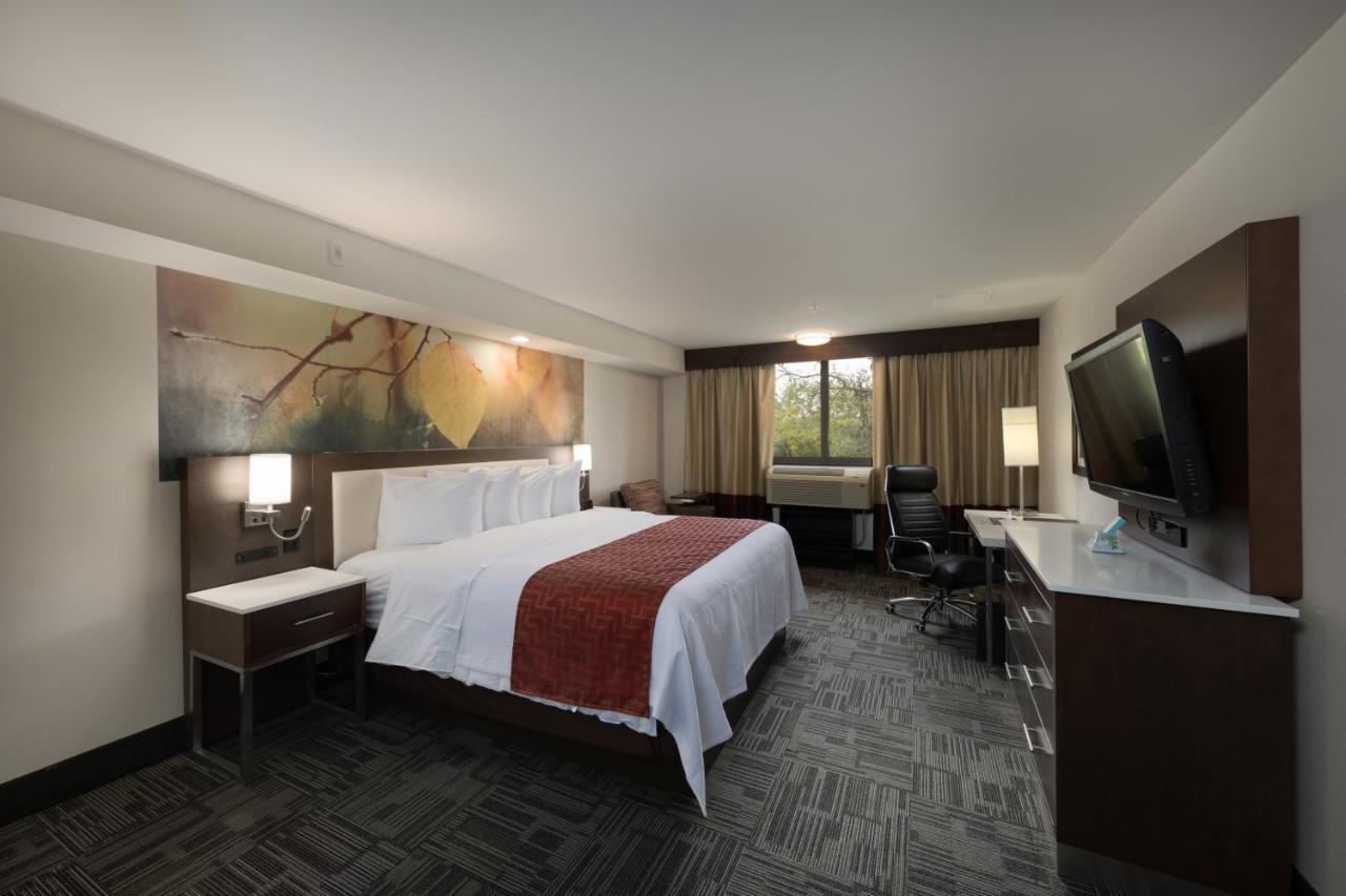 King Room - Mobility Access/Roll in Shower - Non-Smoking at Holiday Inn Brookfield - Milwaukee by IHG