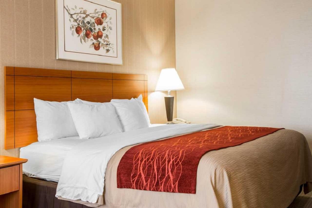 King Room - Smoking  at Comfort Inn White River Junction