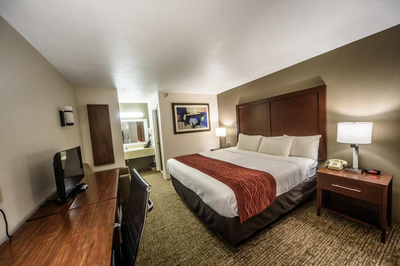 King Room at Richland Inn Lawrenceburg