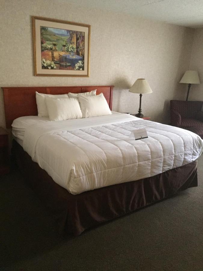 King Room with Pool View - Non Smoking at Quality Inn & Suites Albuquerque Midtown - University Area
