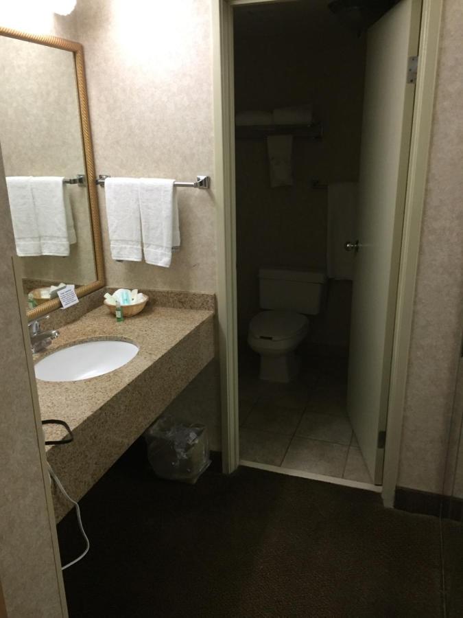 King Room with Pool View - Non Smoking at Quality Inn & Suites Albuquerque Midtown - University Area