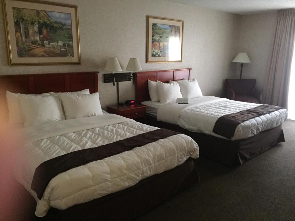 Queen Room with Two Queen Beds and Pool View - Non-Smoking at Quality Inn & Suites Albuquerque Midtown - University Area