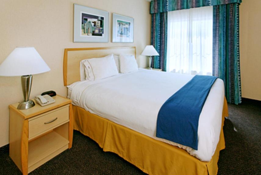 King Suite with Roll-In Shower - Disability Access at Holiday Inn Express San Antonio Rivercenter Area by IHG
