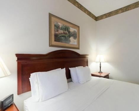 King Room with Bath Tub - Disability Access/Non-Smoking at Holiday Inn Express Hotel & Suites Laurinburg by IHG