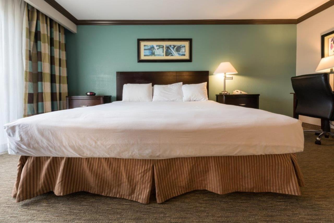 Deluxe Single Room at Vanllee Hotel and Suites
