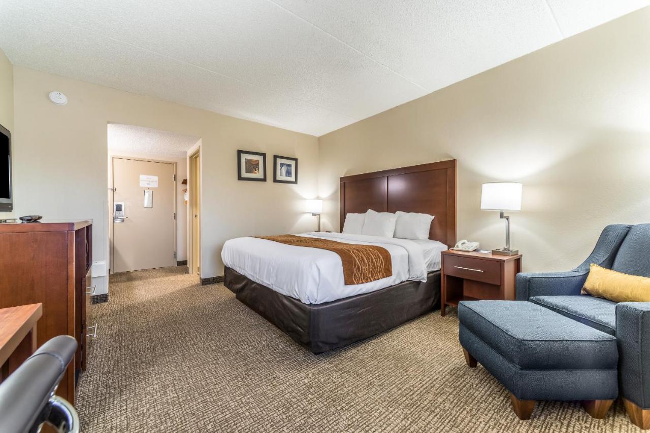 King Room - Non-Smoking at Comfort Inn Festus - St Louis South