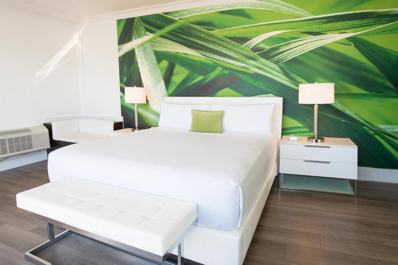 Penthouse Suite with Terrace at President Hotel