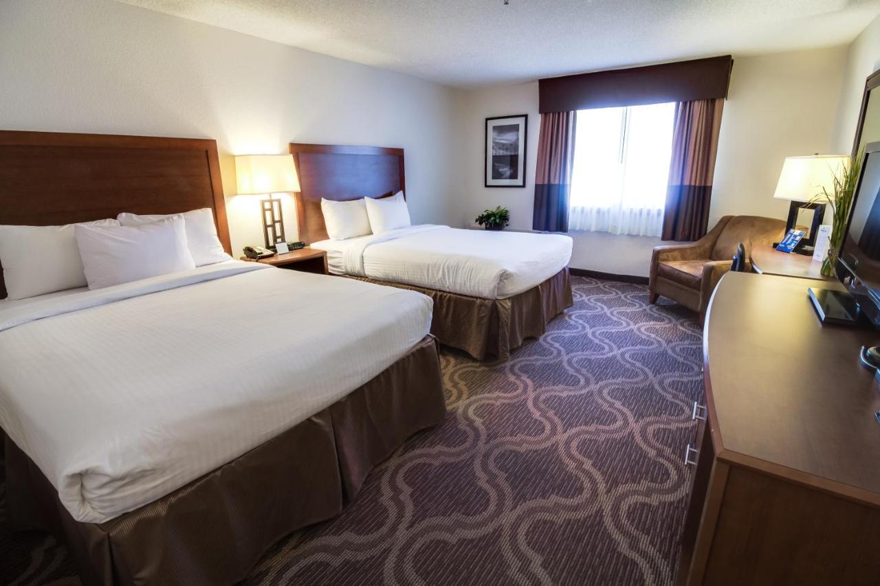 Standard Room with Two Queen Beds at Ashmore Inn and Suites