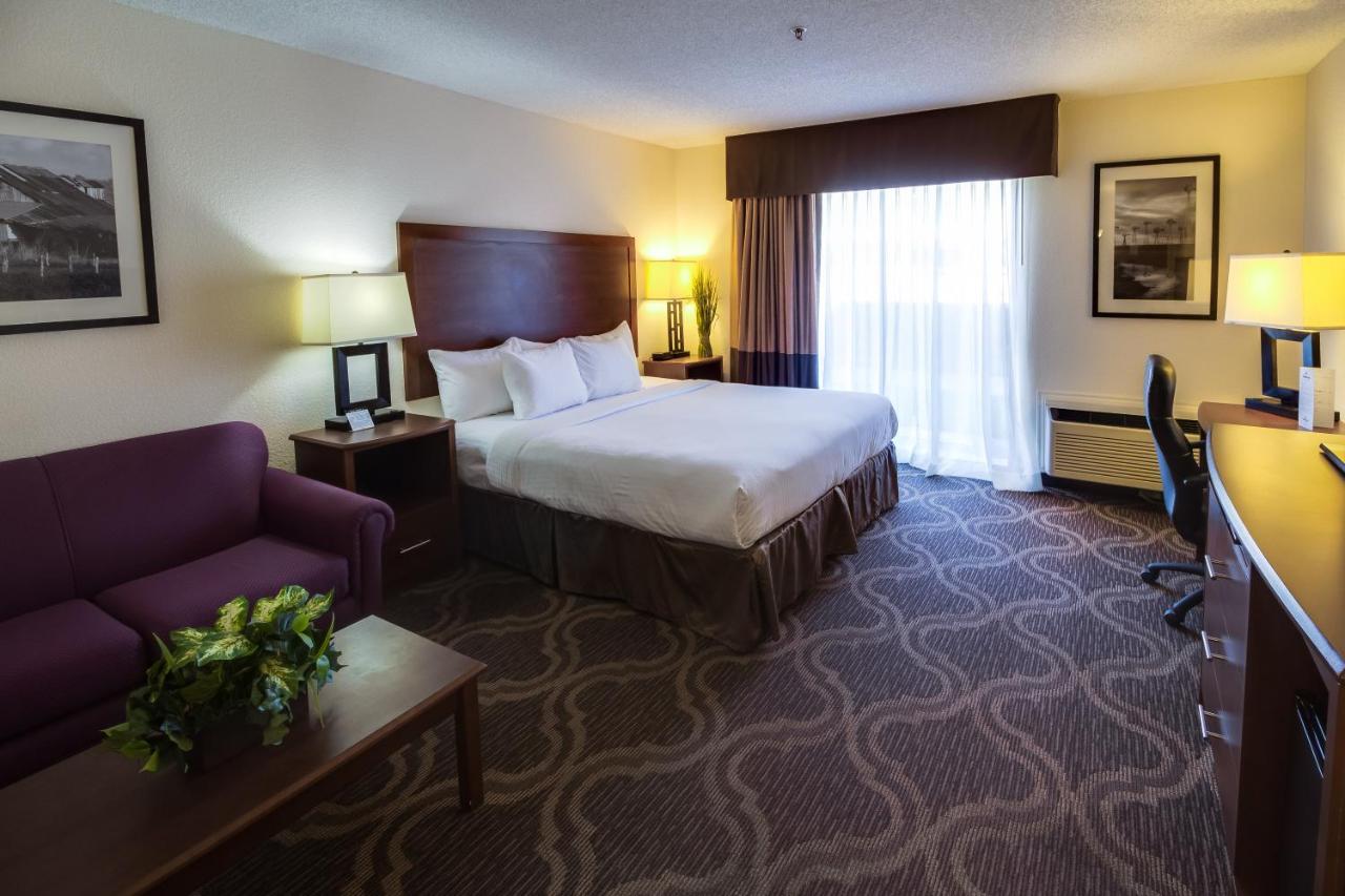 King Room with Sofa Bed at Ashmore Inn and Suites