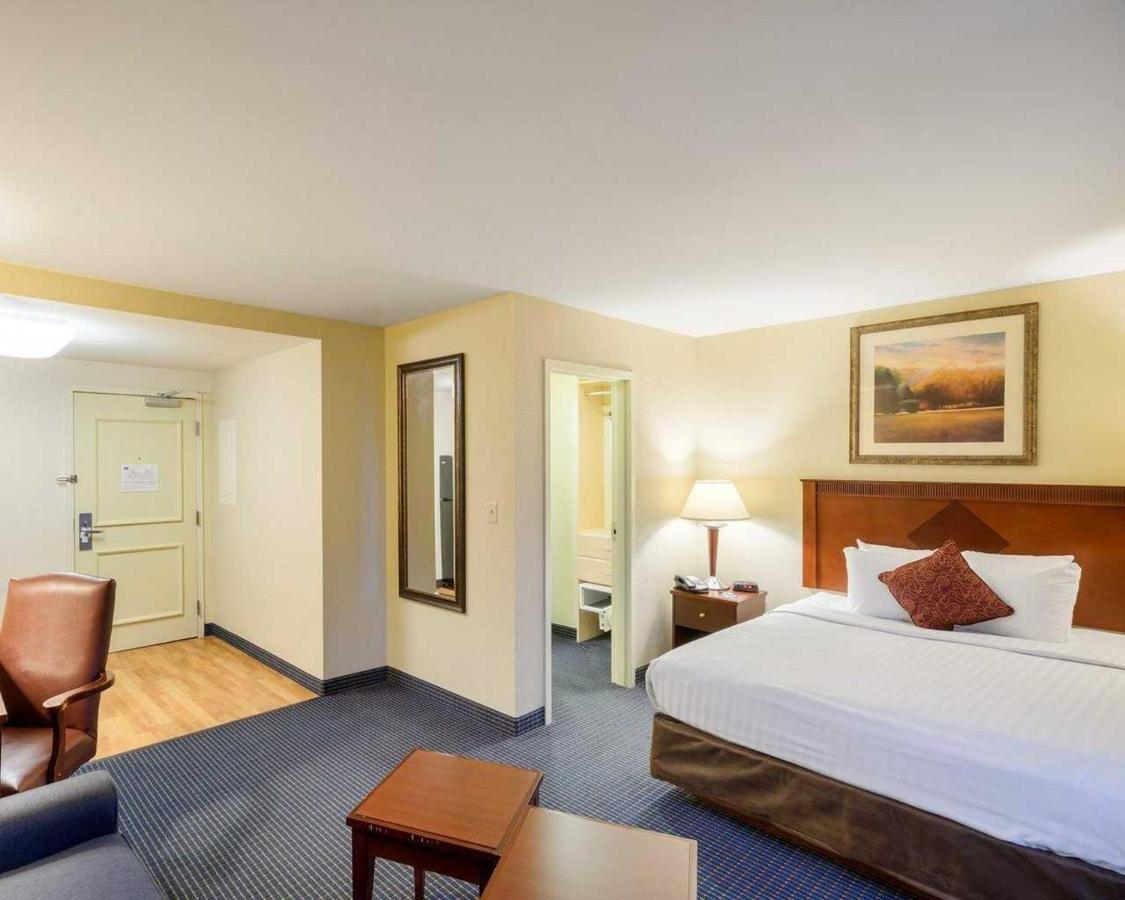 King Suite - Non-Smoking at MainStay Suites Dover