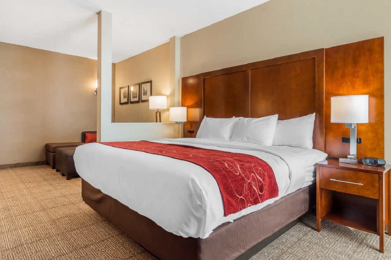 Executive King Suite - Non-Smoking at Comfort Suites La Vista - Omaha