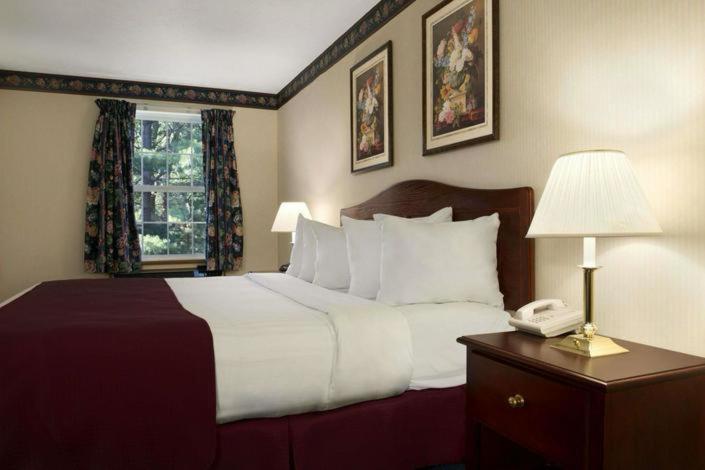 One-Bedroom King Suite - Non-Smoking at Days Inn by Wyndham Grayling
