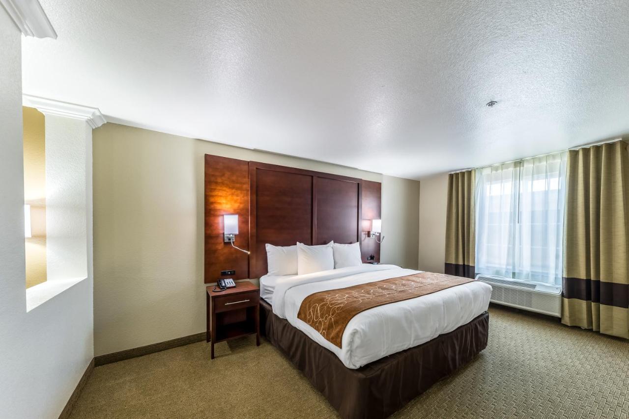 Upgraded King Suite with Sofa Bed - Non-Smoking at Comfort Suites Grand Prairie - Arlington North