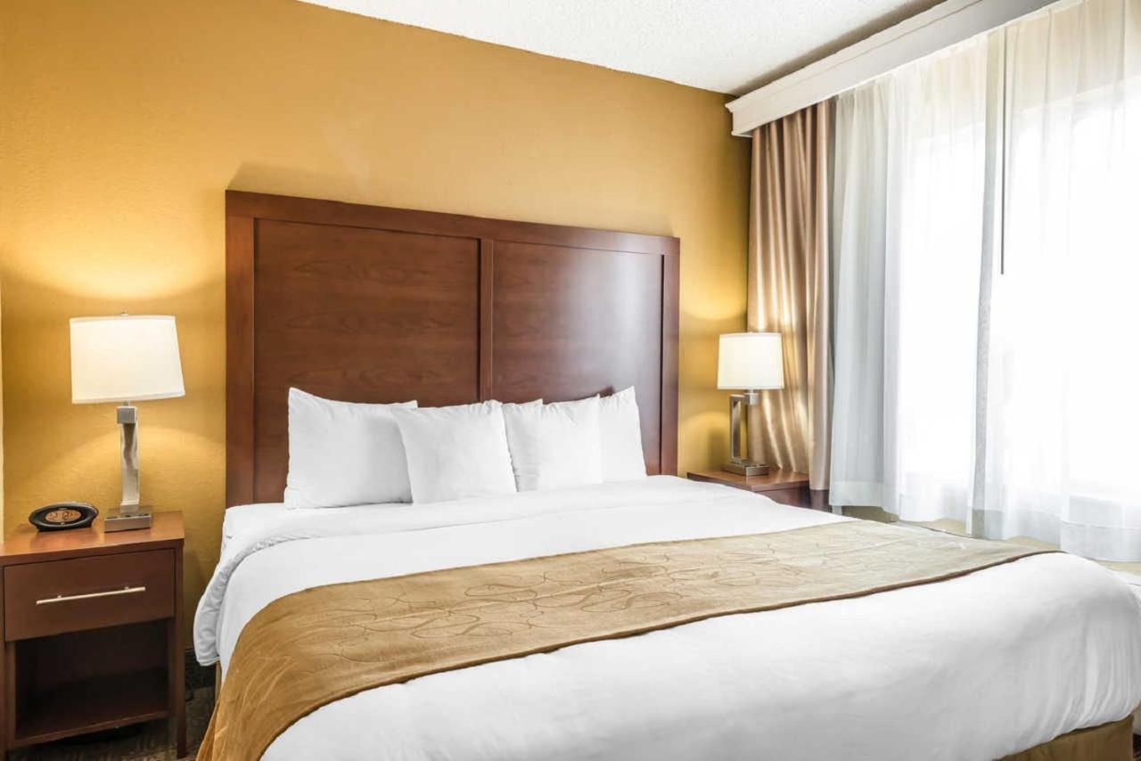 King Suite with Sofa Bed - Non-Smoking at Comfort Suites Tamarac Sawgrass