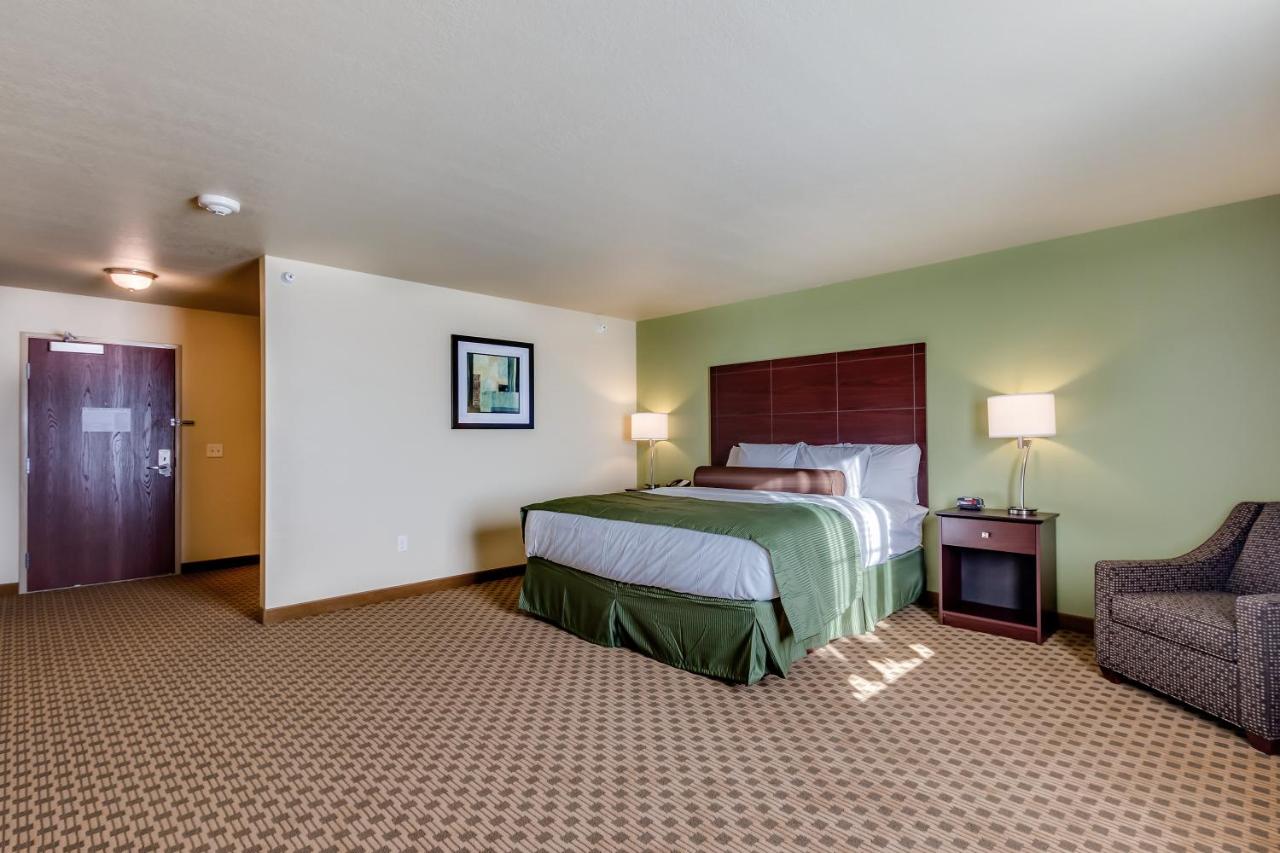 King Studio at Cobblestone Inn & Suites - Waverly