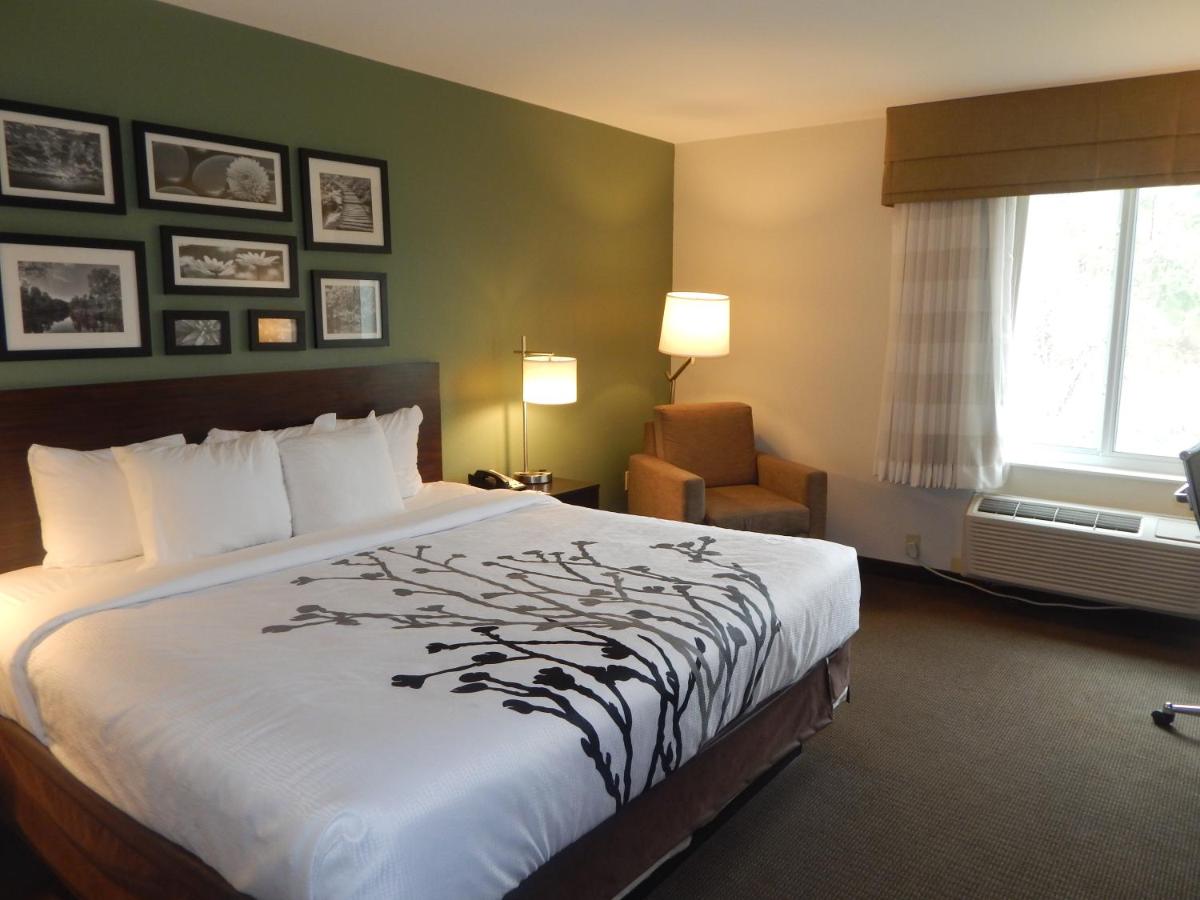 King Room - Non-Smoking at Sleep Inn & Suites near Liberty Place I-65