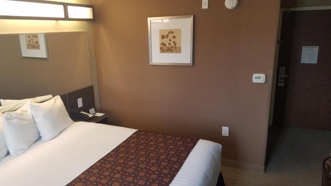 Queen Room - Non-Smoking at Microtel Inn & Suites by Wyndham Shelbyville