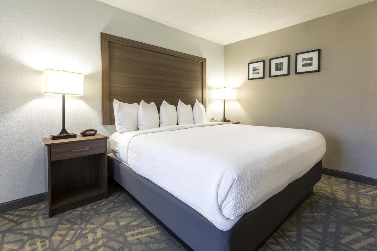 King Room - Non-Smoking at La Quinta Inn & Suites by Wyndham Downtown Asheville