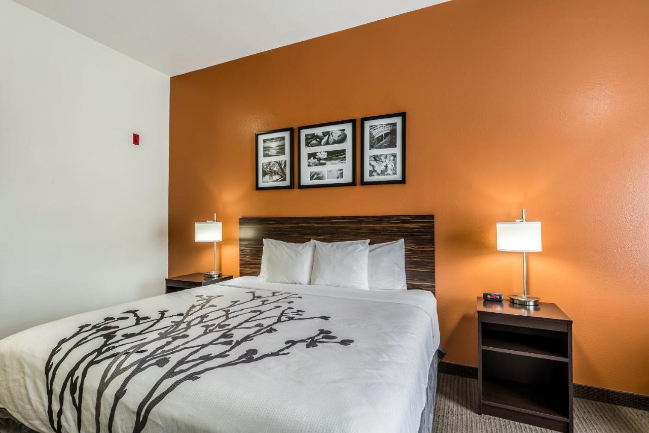King Room - Non-Smoking at Sleep Inn & Suites Stafford - Sugarland