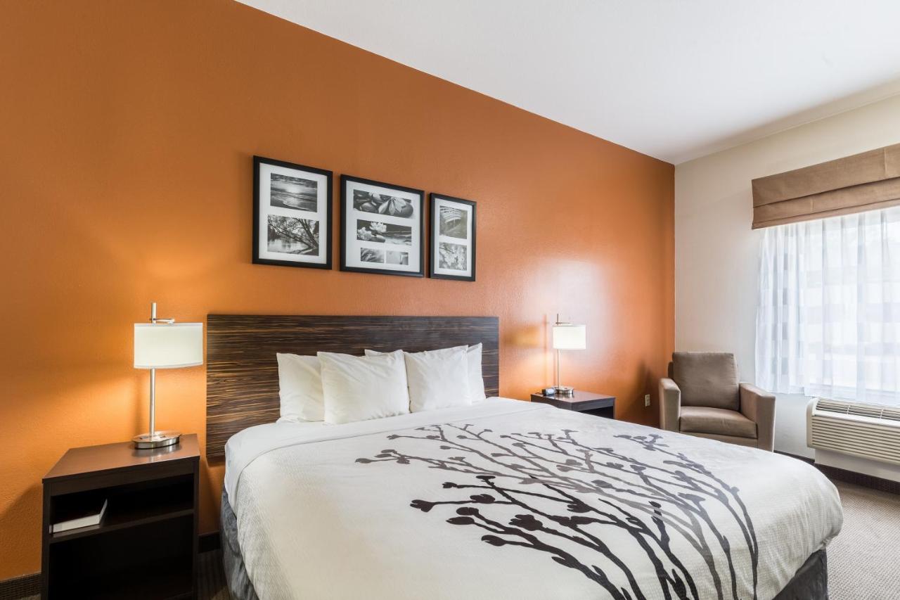 King Room - Disability Access/Non-Smoking at Sleep Inn & Suites Stafford - Sugarland