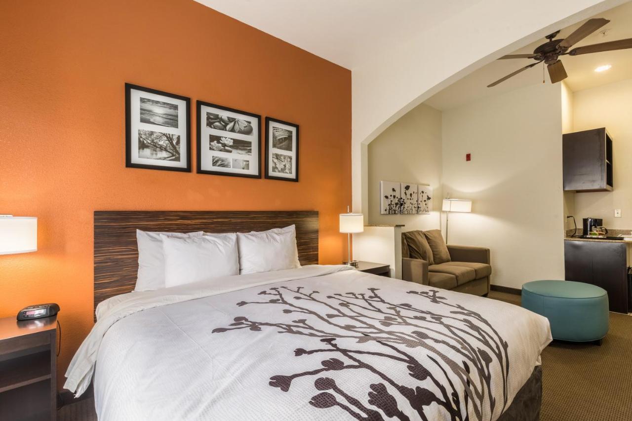 King Suite with Sofa Bed - Non-Smoking at Sleep Inn & Suites Stafford - Sugarland
