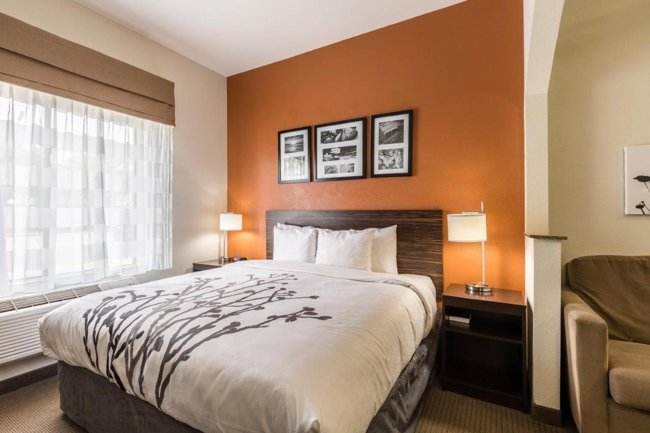 King Suite with Sofa Bed - Non-Smoking at Sleep Inn & Suites Stafford - Sugarland